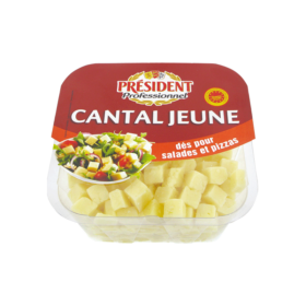 lactalisfoodservice-fromagesolutions-president-professionnel-des-de-cantal-jeune-500gr