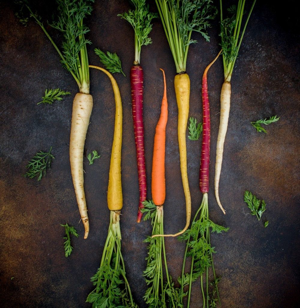 Carottes de différentes couleurs - Jouer sur les formes, les couleurs, les textures